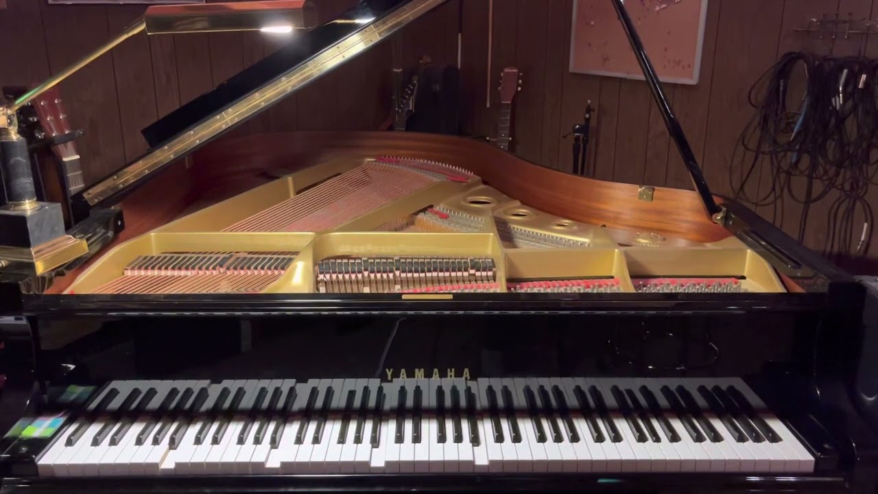 Turn the Lights Off by Tally Hall | Player Piano Arrangement