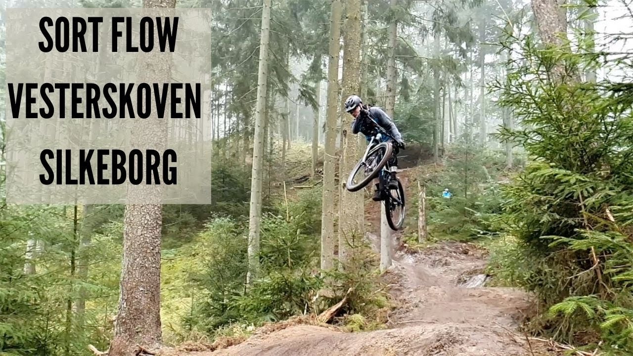 Kommende sort MTB-spor i Silkeborgs Vesterskov