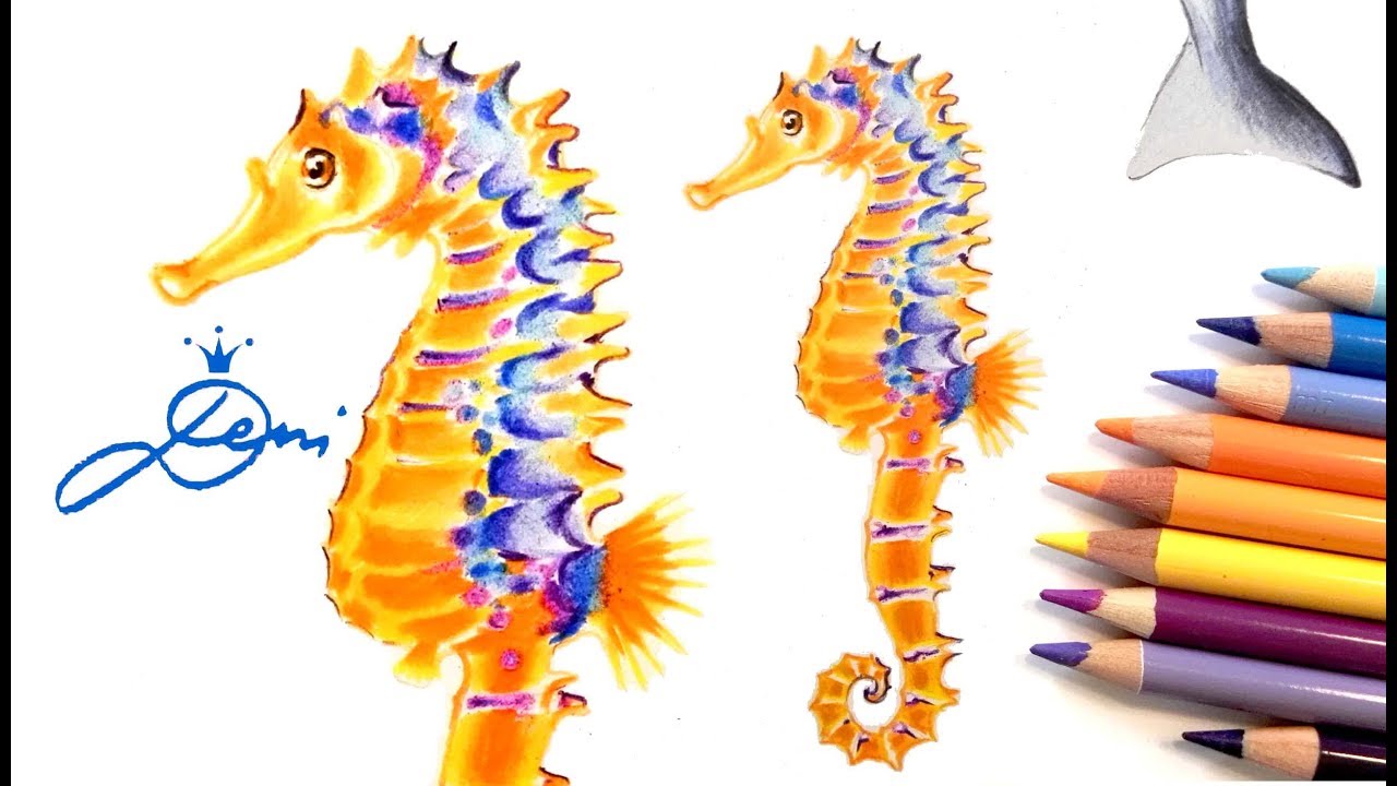 Seepferdchen realistisch zeichnen 🐠How to draw a Seahorse🐟 как се рисува морско конче🦐