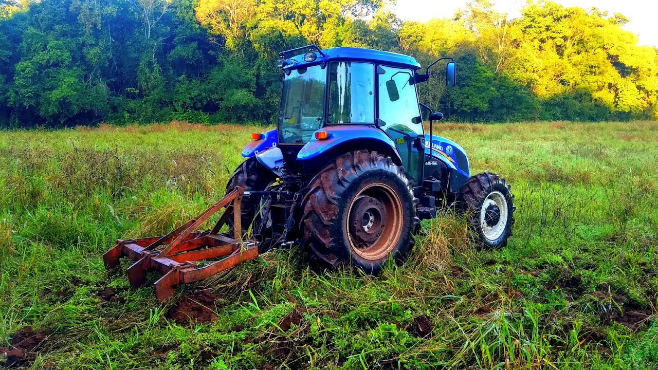 Descompactação de solo com pé de pato, plantio de aveia com o Valmetão, puxando silagem