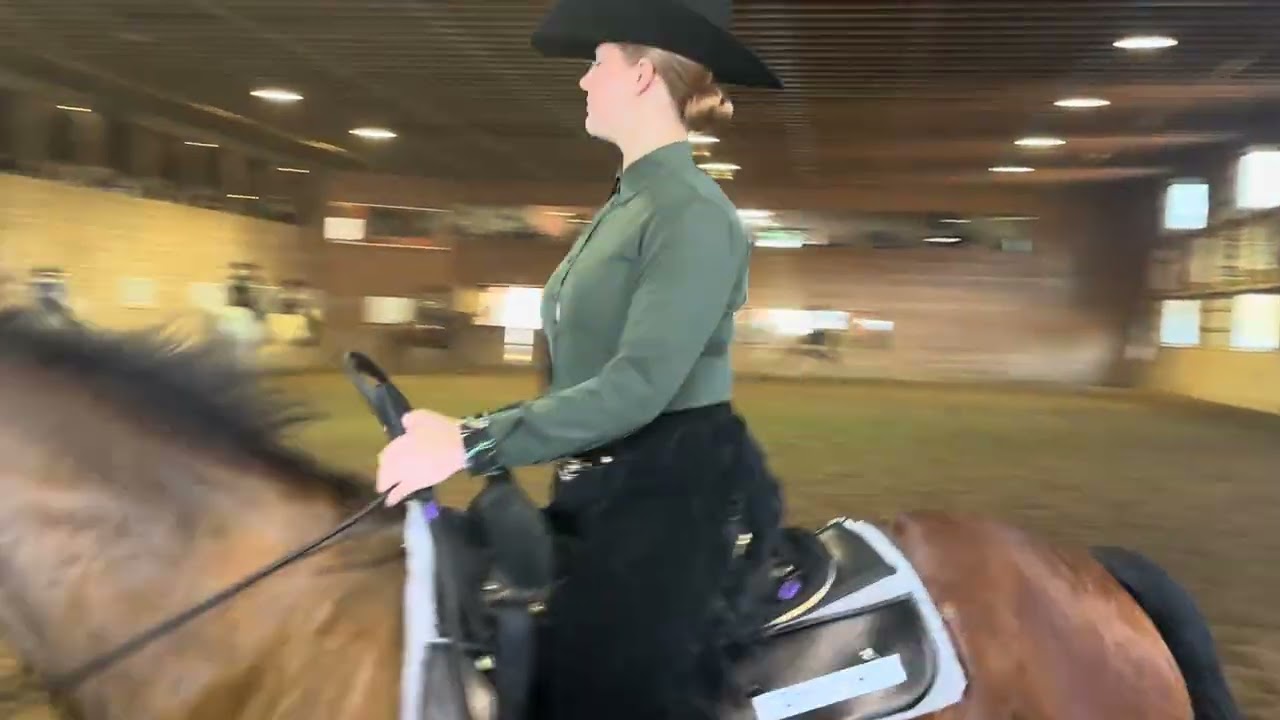 Dec 2023 IEA Future Intermediate Horsemanship Saddlebrook