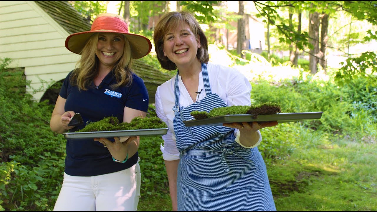 Better Connecticut: Decorating with Moss