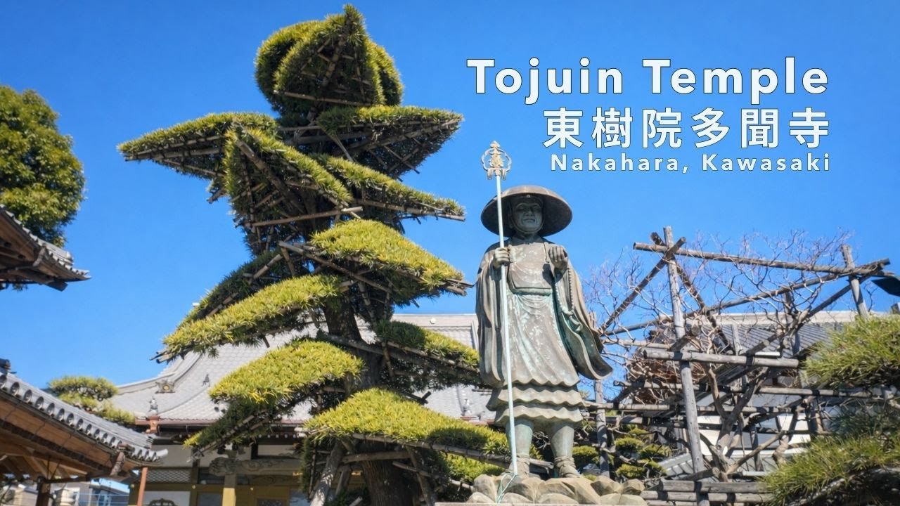 A Quiet Walk  |  Tojuin - Nakahra, Kawasaki 東樹院多聞寺