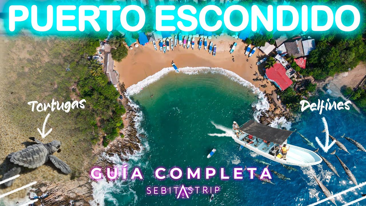 🌎🐬🐢 PUERTO ESCONDIDO | GUÍA COMPLETA | ¿QUÉ HACER?| COSTOS| OAXACA| @sebitastrip