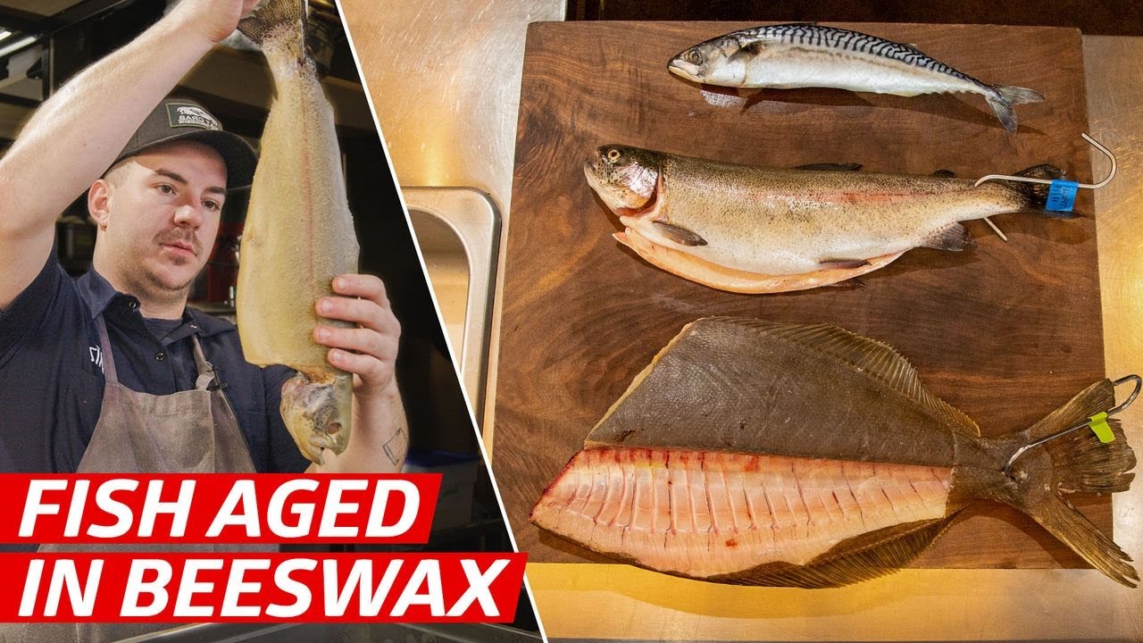 How to Dry-Age Fish in Beeswax — Deep Dive