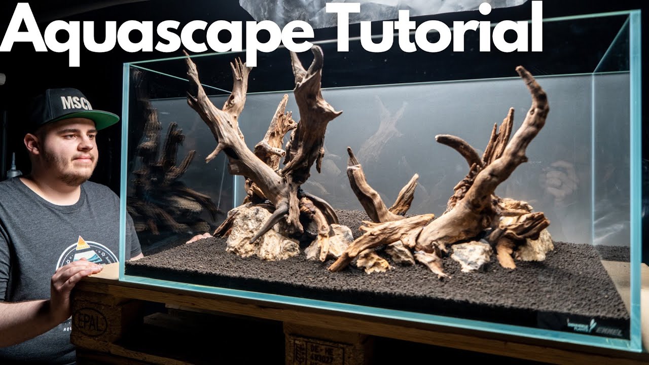 90cm Aquarium einrichten im Nature Style! AQUASCAPE TUTORIAL