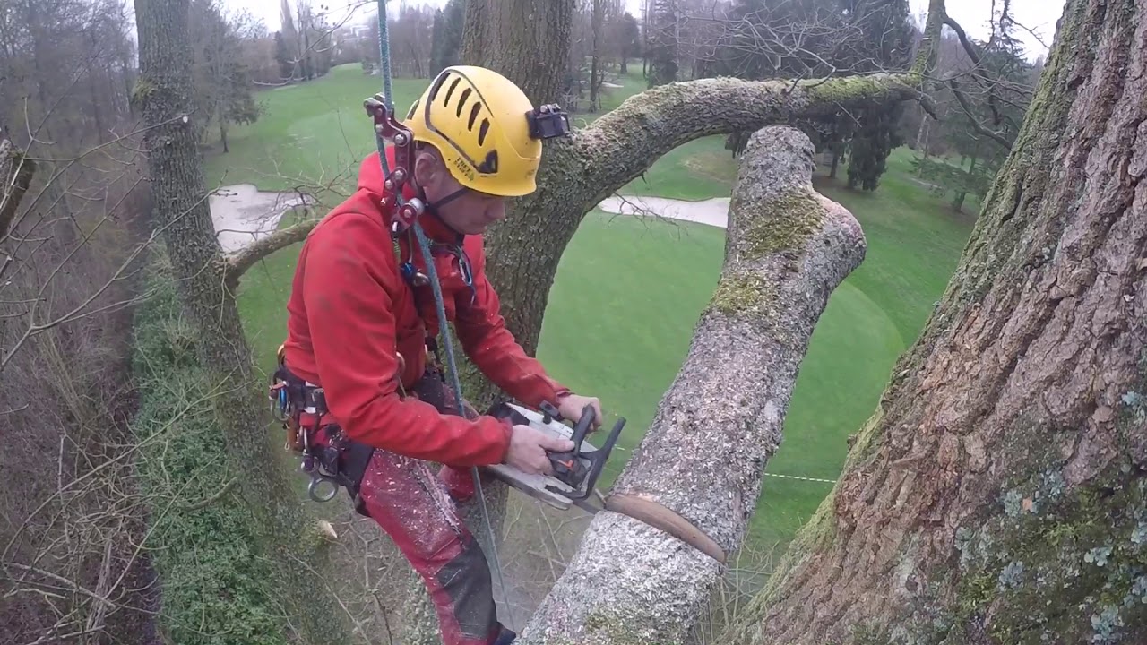 Technique demontage entre 2 arbres