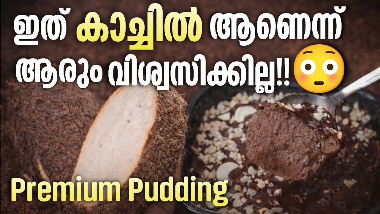 കാച്ചിൽ കൊണ്ട് chocolate pudding! 🍫|| Easy and healthy dessert recipe malayalam 