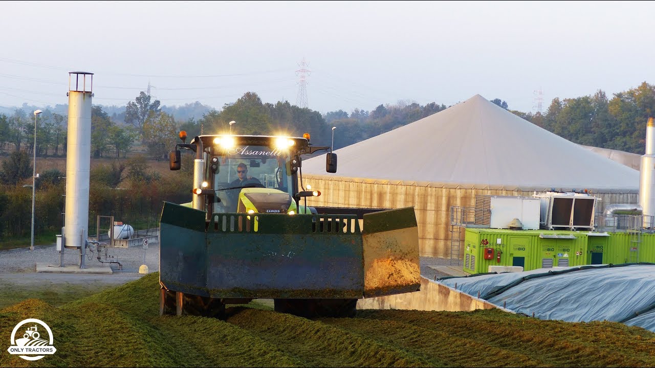 HUGE SILAGE TRENCH | Claas Axion 850 |Agromeccanica Assanelli | ᴴᴰ