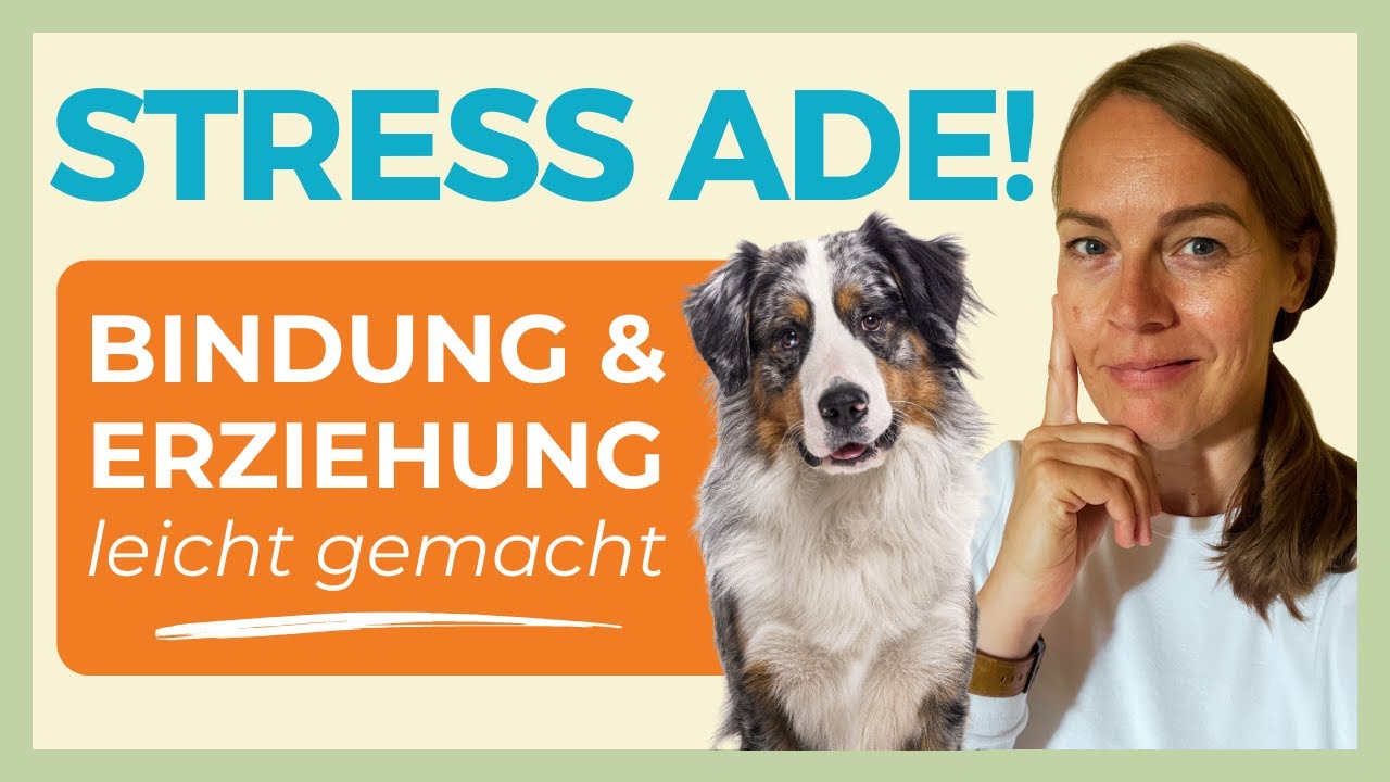 🔥 NUR SO BAUST DU EINE INNIGE BINDUNG ZUM HUND AUF UND DIE ERZIEHUNG FLUTSCHT FAST VON ALLEIN ❤️