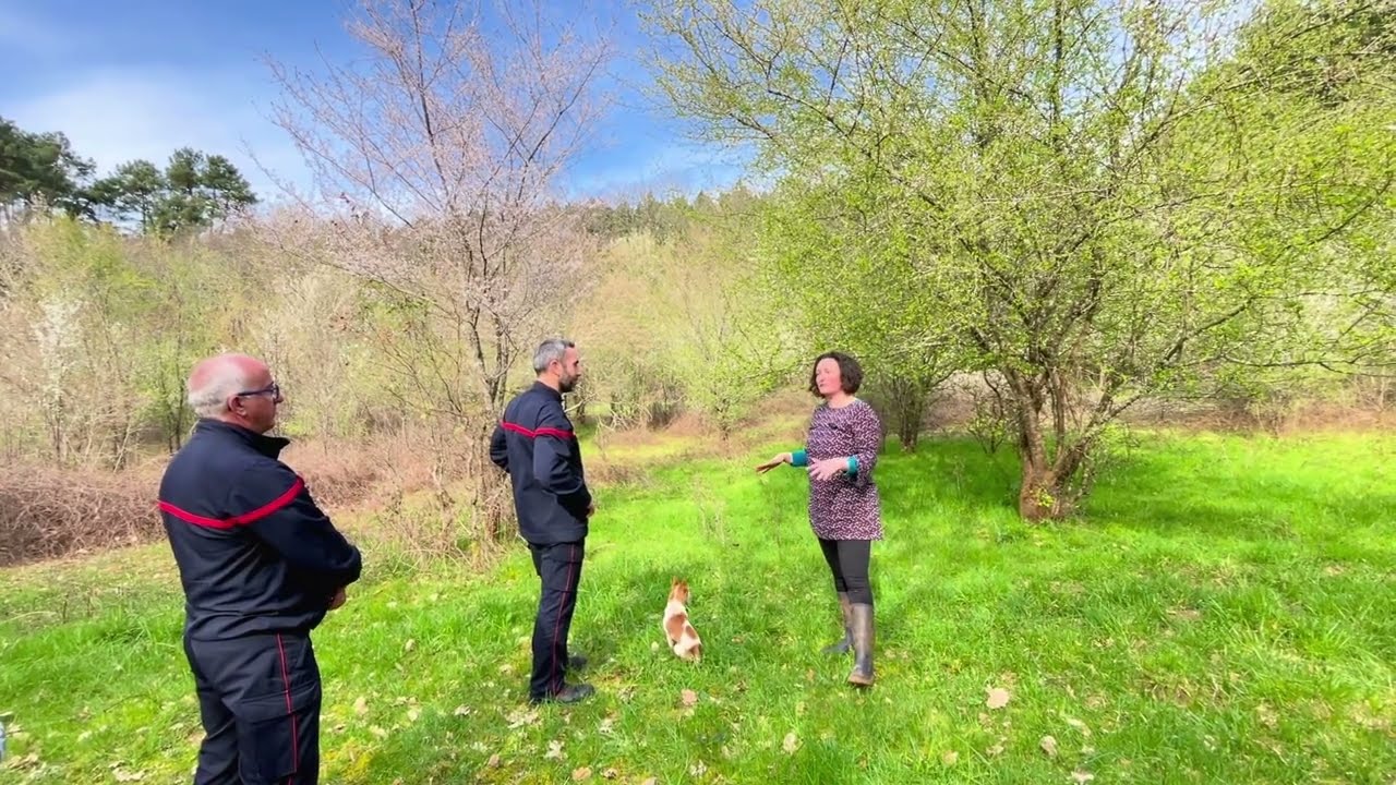 LE PASTORALISME EN FORÊT : rencontres en Vallée de la Lémance - 1 - L'importance des animaux