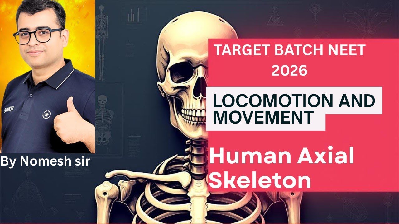 SKELTAL SYSTEM : AXIAL SKELETON (Locomotion and Movement)