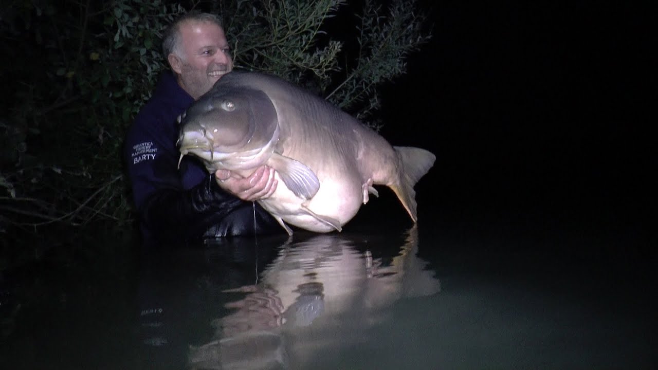 ...Carp Fishing...Gigantica ( A Carpheadbangers Experience Part 3) Capture of Single Scale 72lb