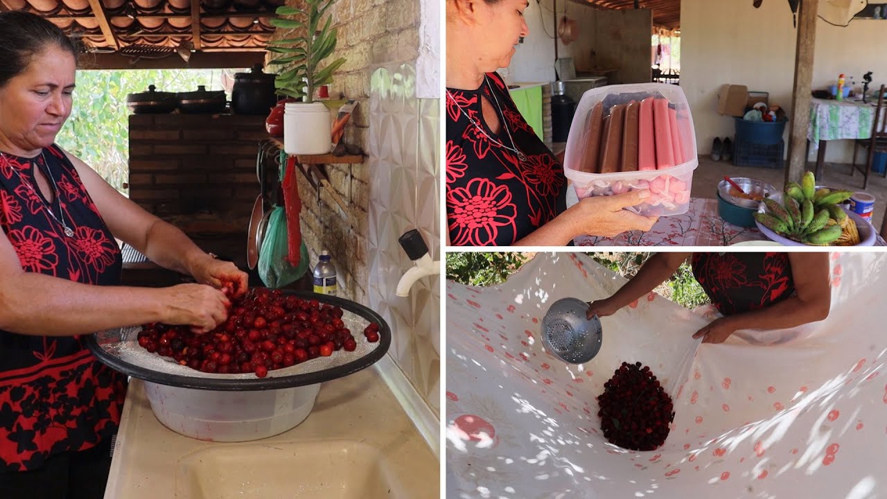 COM A FARTURA DE ACEROLA APROVEITEI PARA FAZER BASTANTE POLPA + FRAU DE BANANA E GOIABA 