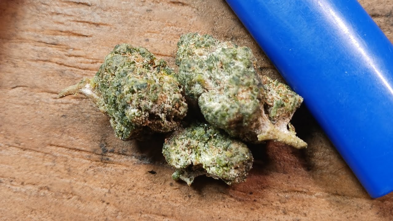 Weed Review #139 Ice Caps