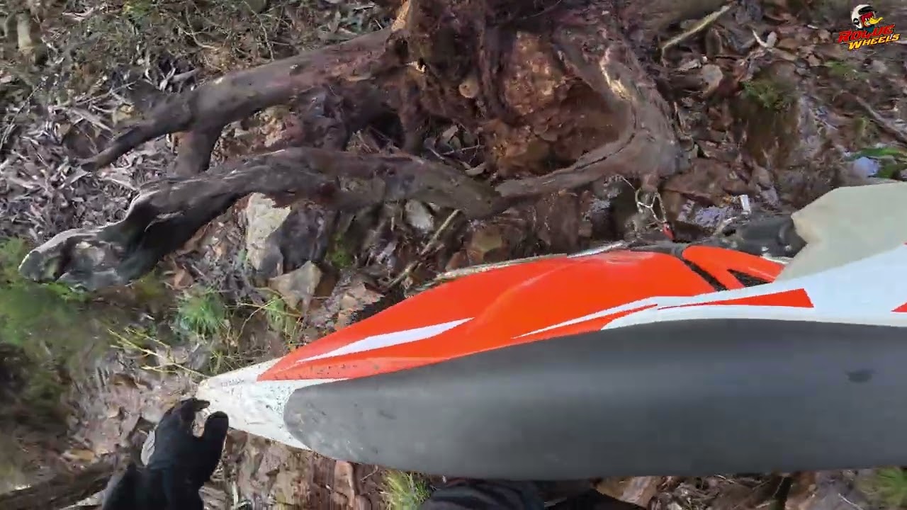 Passeio OffRoad Enduro Roque Wheels 31-01-2026