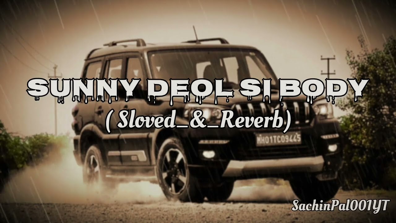 😇 SUNNY DEOL SI BODY 💪___( 🎧 Sloved_&_Reverb 🎧 )_____(256K)😇🎧 #trendingsong#viralsong#SachinPal001YT