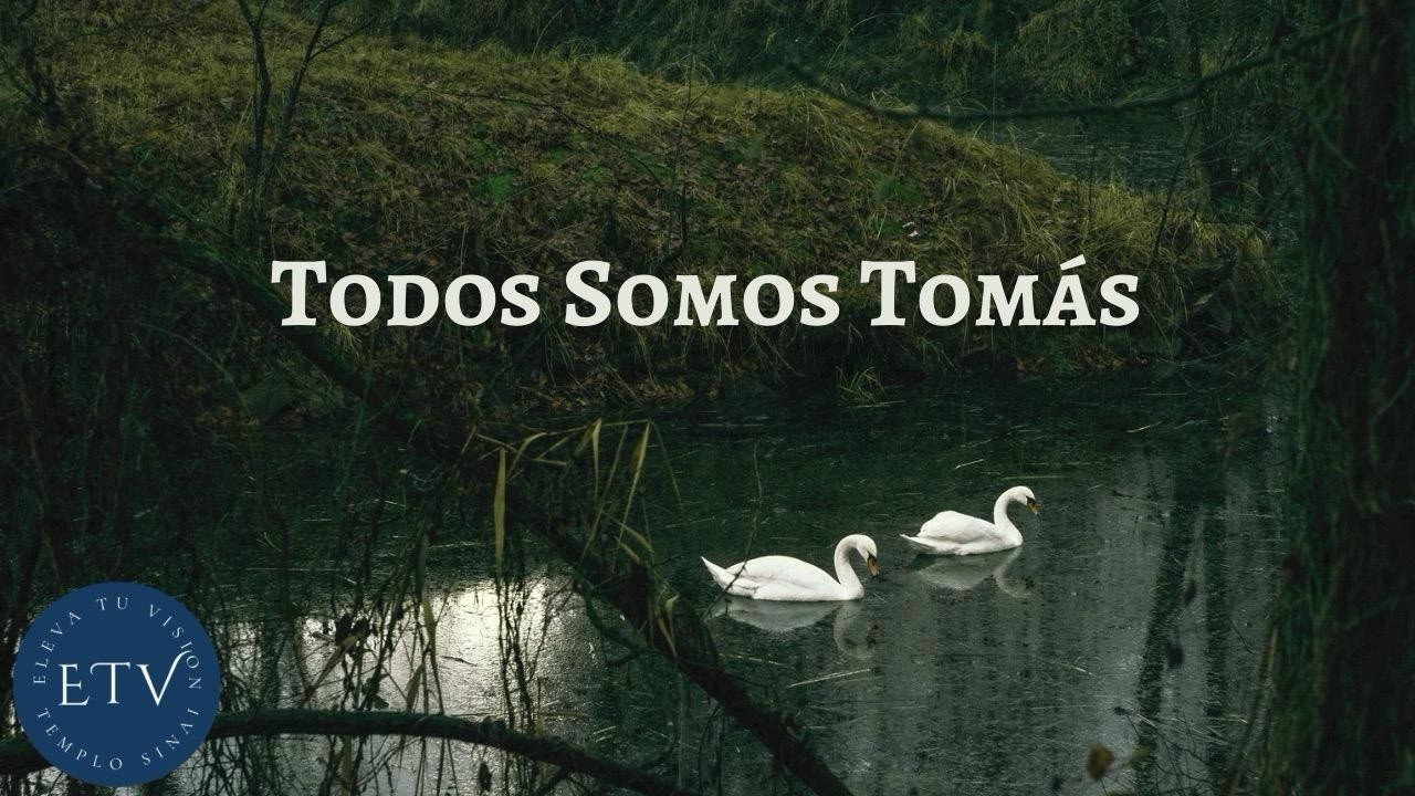 Todos Somos Tomás