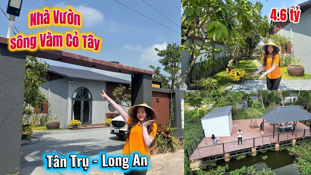 Tập 3613 B&aacute;n Nh&agrave; Vườn view S&ocirc;ng V&agrave;m Cỏ T&acirc;y ở T&acirc;n Trụ Long An 