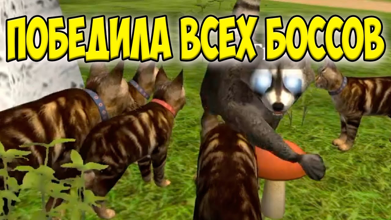 😻Симулятор КОТА и КОШКИ🐾ПОБЕДИЛА всех БОССОВ в СИМЕ cat sim