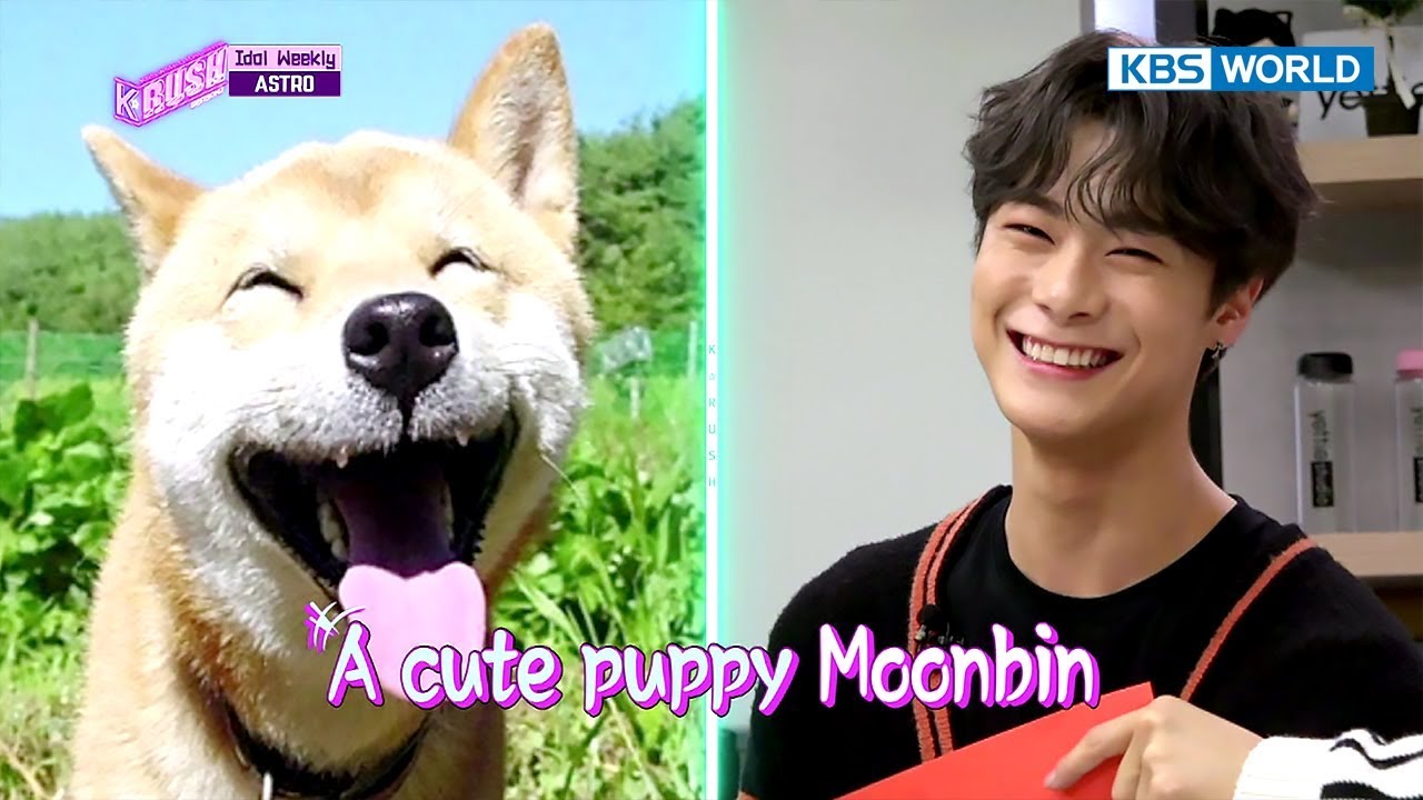 Idol Weekly Interview with ASTRO [KBS World Idol Show K-rush2 / 2017.11.10]