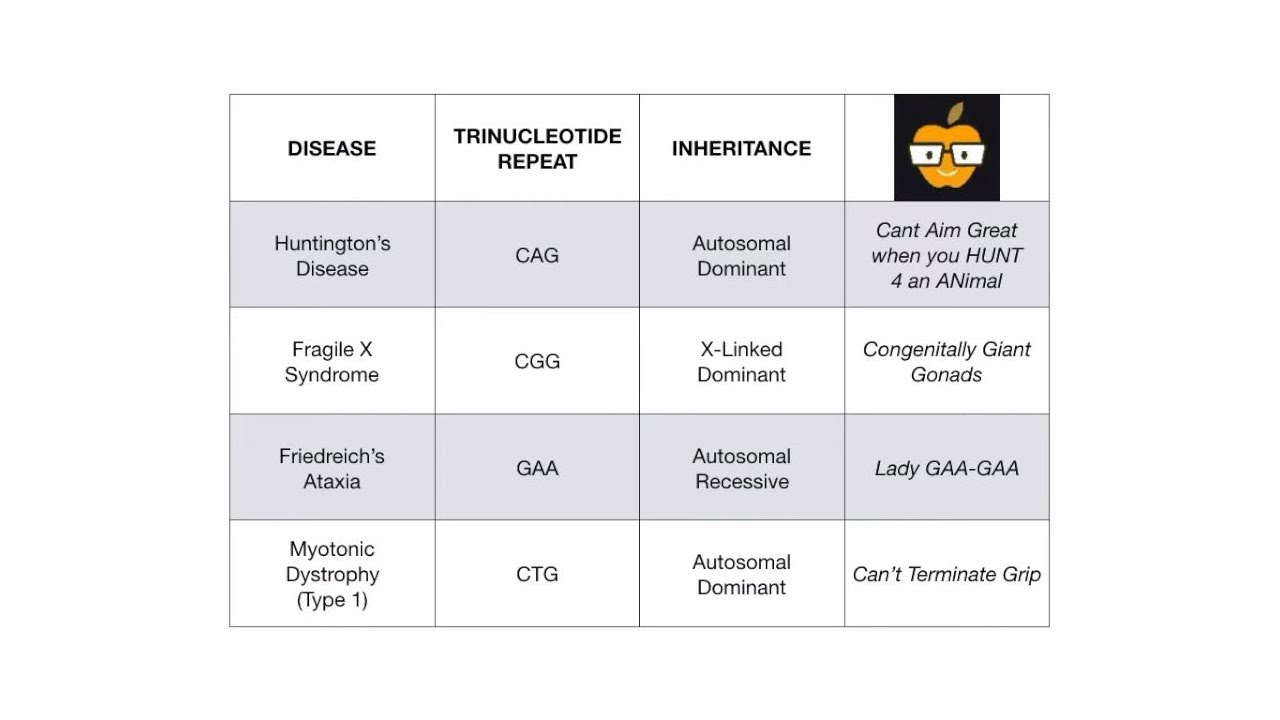 Trinucleotide Repeats