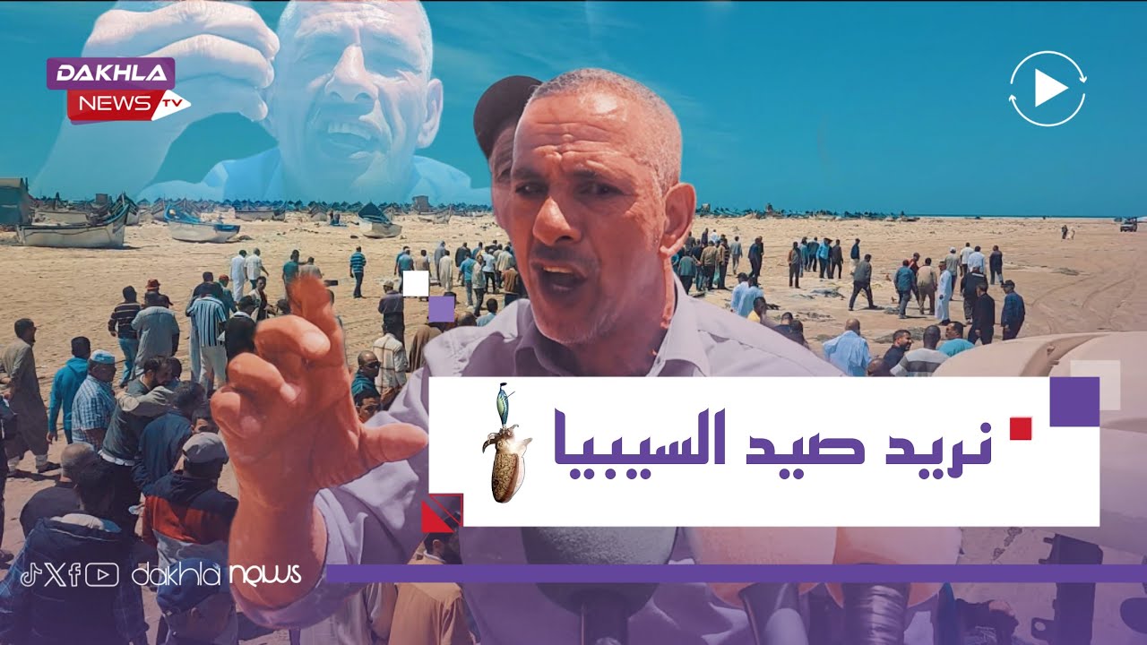 شاهد .. قرار الحظر المؤقت لصيد الحبار يشعل قرى الصيد بالداخلة