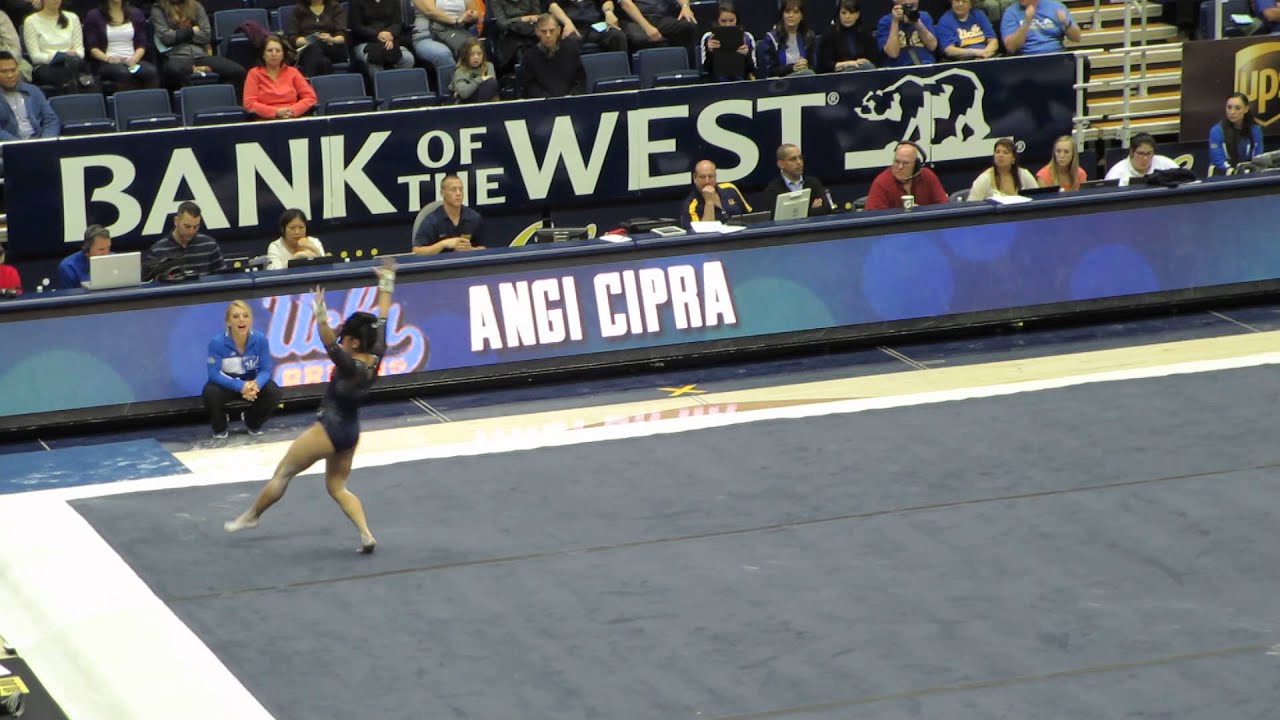 Angie Cipra FX 1/31/14