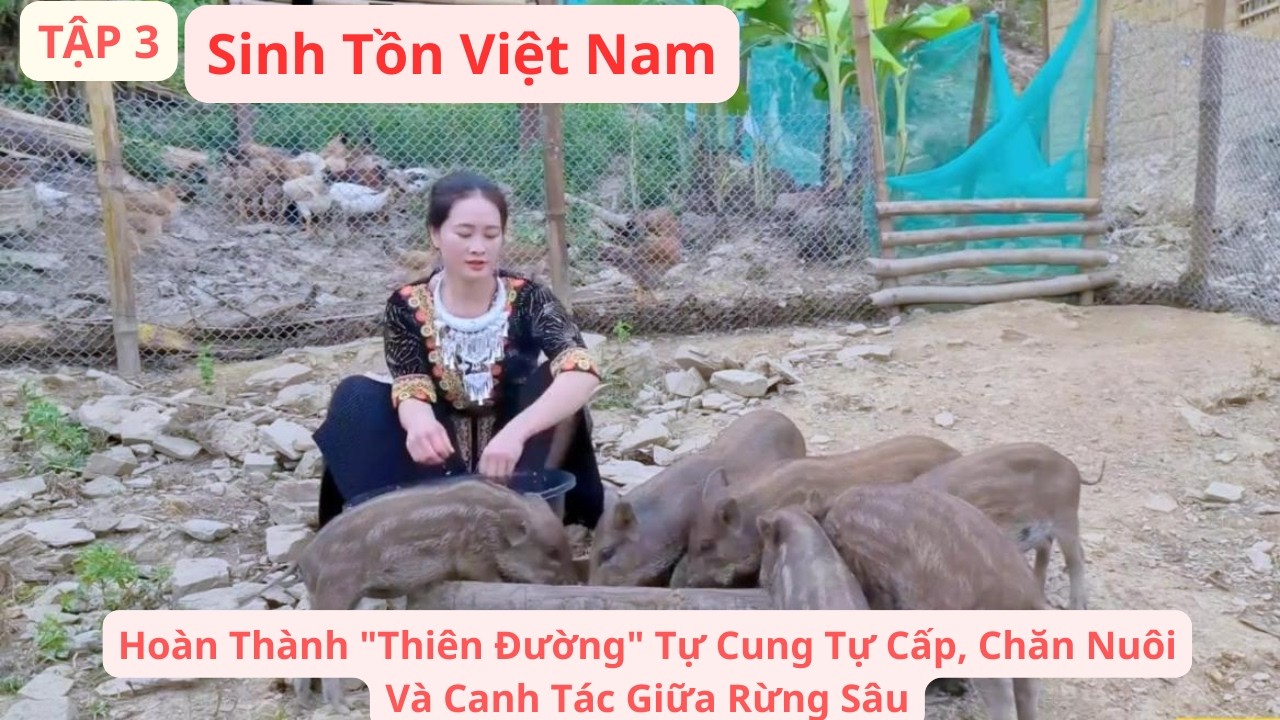 Sinh Tồn Việt Nam T3: Hoàn Thành 