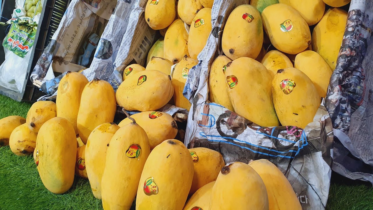 Mango update Islamabad mandi | Best Quality mango at your door step | daily fruits update |