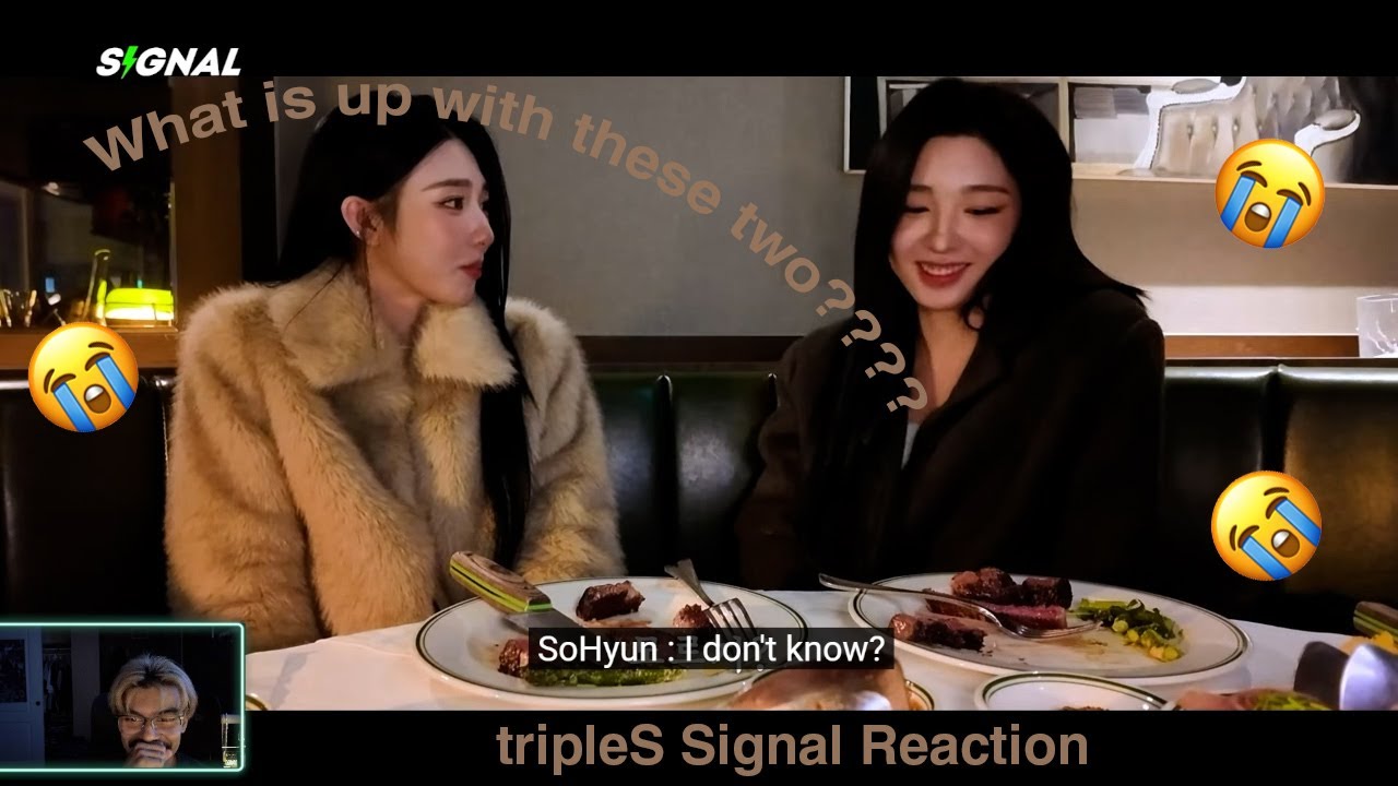 tripleS signal reaction | Another day in wavland???