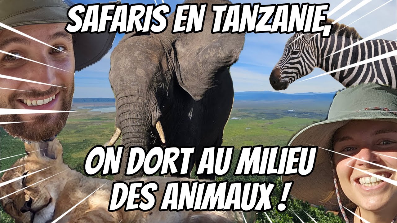 LA VIE SAUVAGE EN TANZANIE : SAFARIS INOUBLIABLES AU ROYAUME DES ANIMAUX (Tanzanie partie 2)