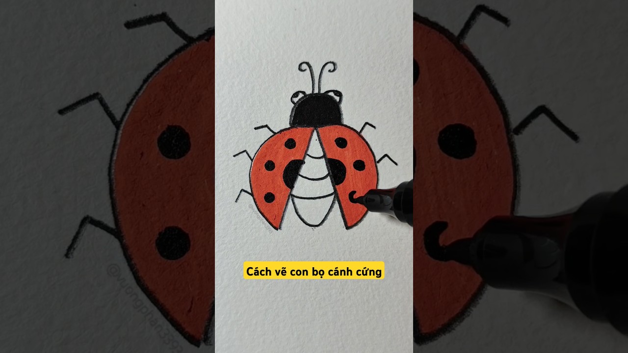 C&aacute;ch vẽ con bọ c&aacute;nh cứng🐞#drawing #beetle #painting #shorts
