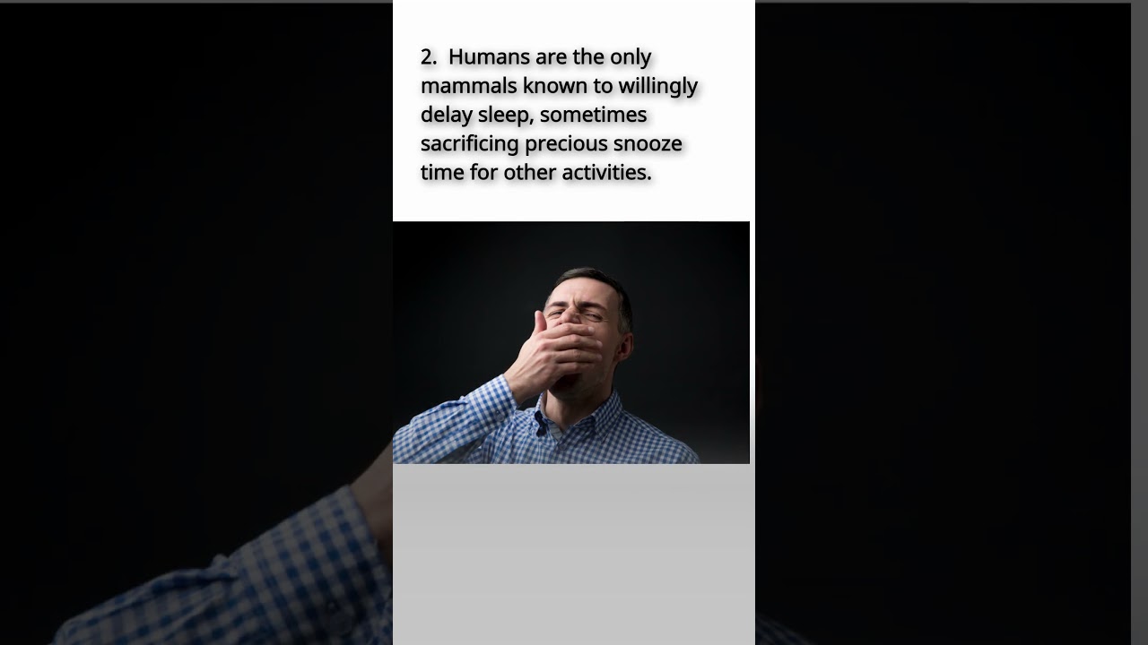5 Fun Facts About Sleep #shorts #viral