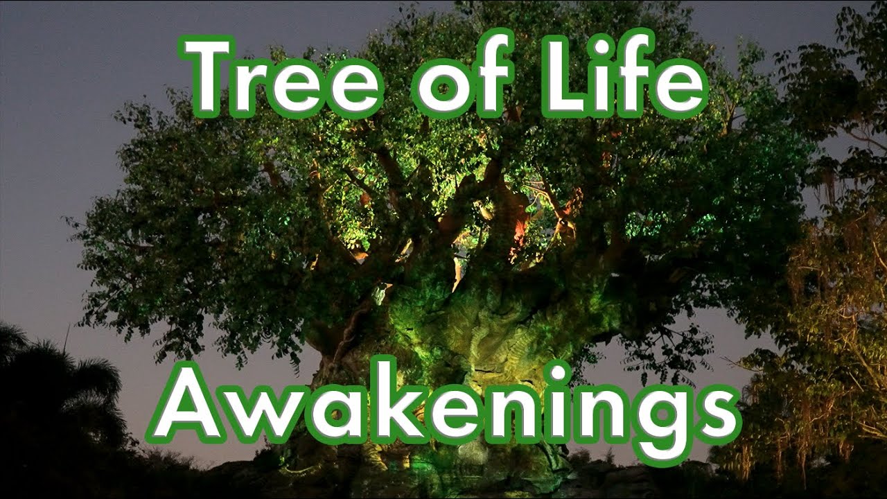 Tree of Life Awakenings in 4k - Disney's Animal Kingdom - Walt Disney World - January 2023
