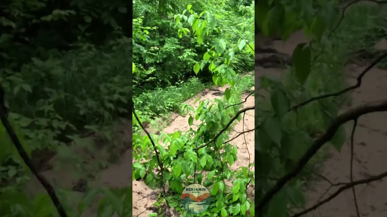 Short 6 | DO NOT REPEAT THIS HIKE, North Country Trail HIKE100 | 