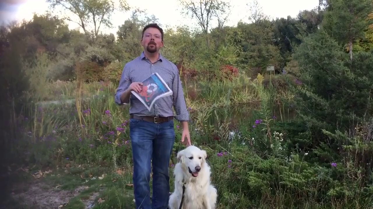 Voted Best Dog Boarding Facility in Boise for 2016 by Boise Weekly!