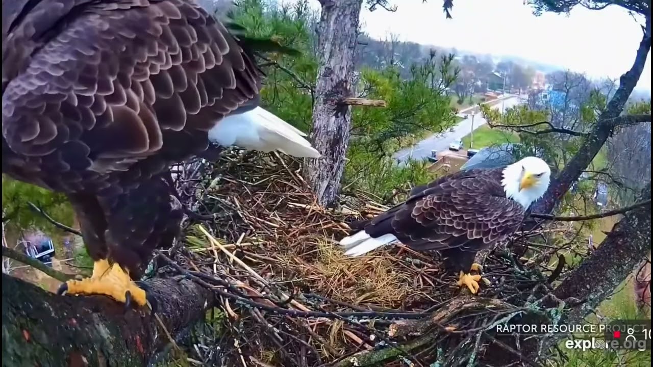 Mr. & Mrs.T- Trempealeau Eagle Nest❤️11/25/25