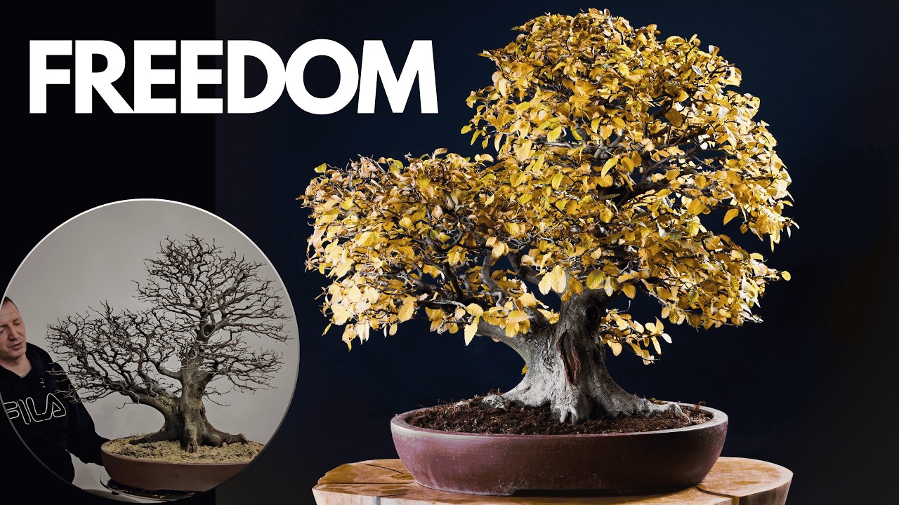 My Bonsai Journey: From Czechoslovakia to Yamadori with Walter Pall