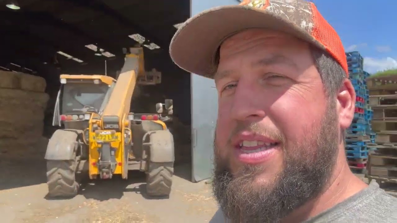 Shearing ram, problem with new hay... broken belt, field walk. Episode 328