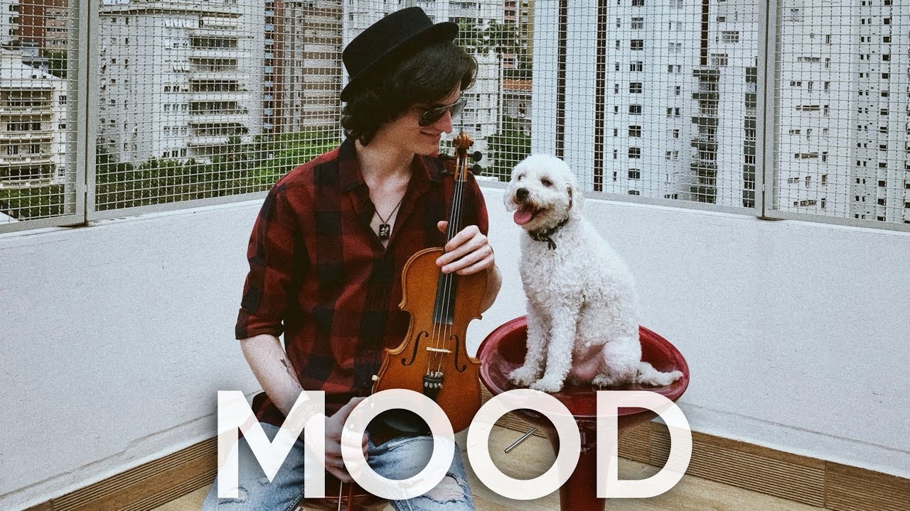 MOOD Feat. MY DOG!!! (VIOLIN REMIX COVER) | 24kGoldn, Iann Dior, Justin Bieber, J Balvin