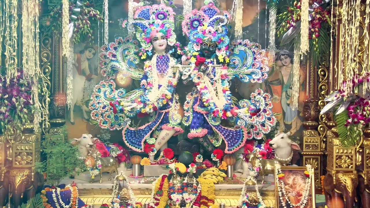 Most Peaceful Hare Krishna Kirtan - Pure Devotion - Iskcon Rohtak I Madhav Das Sankirtan #kirtan