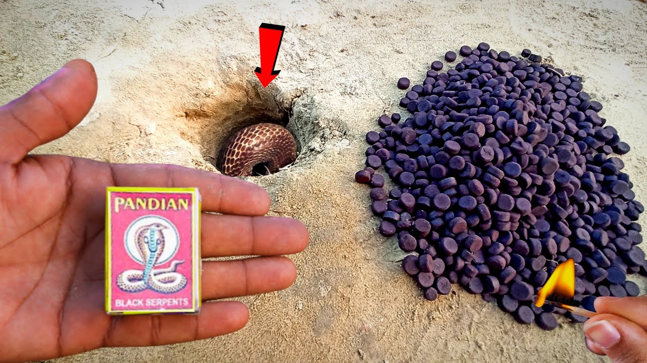 ₹ 1000 SNAKE BOMB 🐍 ~at Once Time Fire Crackers Testing in Diwali 2024 // Cracker Testing 2024