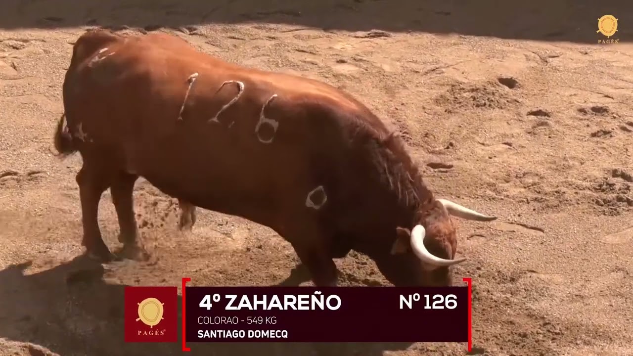 Sorteo toros de Santiago Domecq en Sevilla, miércoles 19 de abril 2023