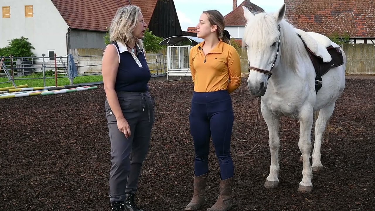 Welche Voraussetzungen Du brauchst, um Reittherapeutin zu werden