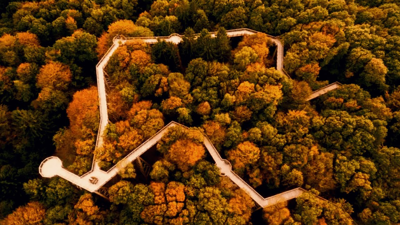 BAUMWIPFELWEG: Hidden gem near Big City