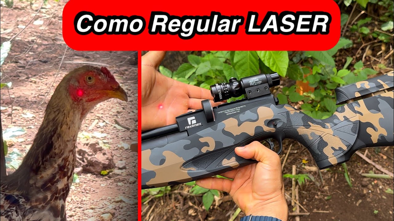 Usei Laser Na carabina - Não tem a como errar!