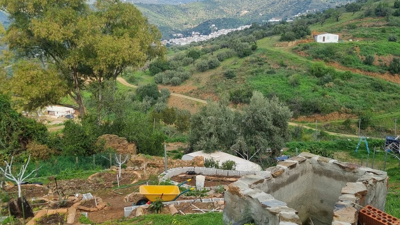 Sistema de recogida de aguas lluvias y riego en secano!! Frutales y huerto sin pozo💪