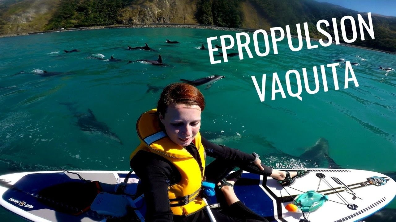ePropulsion Vaquita elektrický motor | English Subtitles