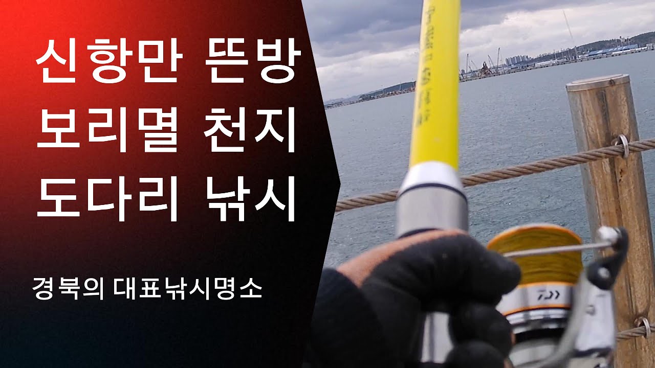 보리멸 천지 신항만뜬방                                            #도다리낚시  #생활낚시  #경주낚시 #캠핑낚시 #경주바다낚시 #포항고등어낚시